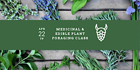 Medicinal & Edible Plant Foraging Class  primärbild
