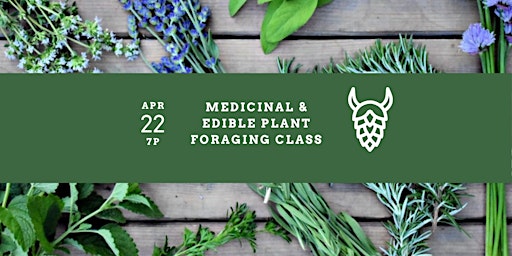 Hauptbild für Medicinal & Edible Plant Foraging Class