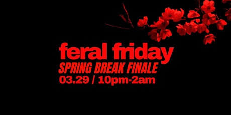 FERAL FRIDAY | SPRING BREAK FINALE