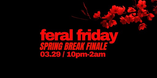 FERAL FRIDAY | SPRING BREAK FINALE primary image