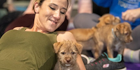 Puppy Yoga and Adoption Event