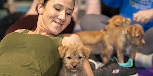 Imagen principal de Puppy Yoga and Adoption Event