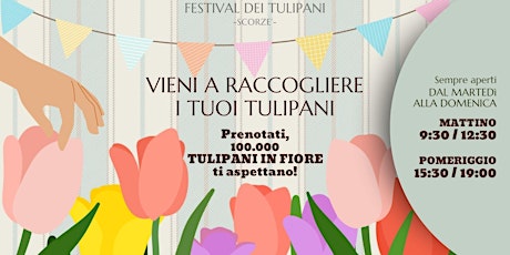 Festival dei Tulipani - Scorzè