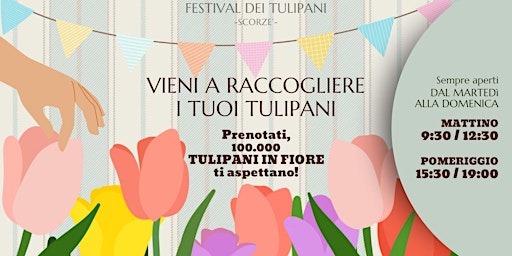 Immagine principale di Festival dei Tulipani - Scorzè 