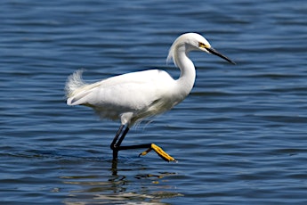 Coyote Point Recreation Area