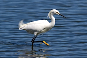 Imagen principal de Coyote Point Recreation Area