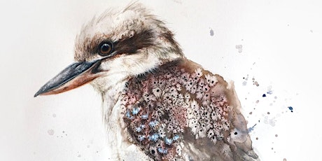 Paint a Kookaburra in Watercolour
