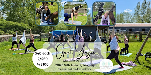 Imagen principal de Goat Yoga on the Farm!