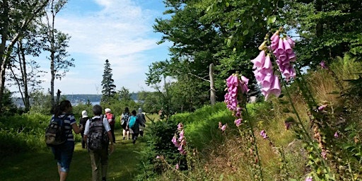 Primaire afbeelding van Discover McNabs Island: North End Heritage Tour -  July 7, 2024, 9:30 AM