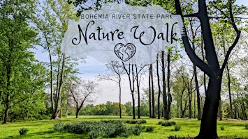 Imagen principal de Nature Walk