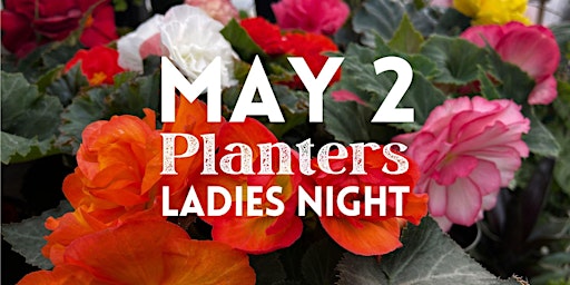 Imagem principal do evento LADIES NIGHT- DIY PLANTERS @ Winderberry