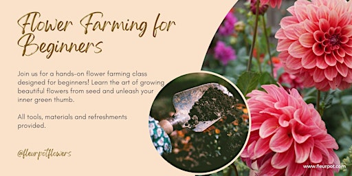 Primaire afbeelding van Beginners Flower Farm Class