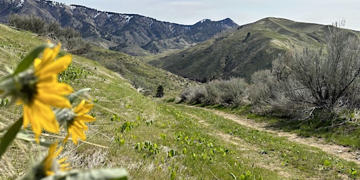 Immagine principale di We Hike to Heal with 52 Hike Challenge Washington Chapter at Cashmere Canyons Preserve 