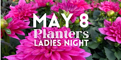 Primaire afbeelding van LADIES NIGHT- DIY PLANTERS @ Winderberry