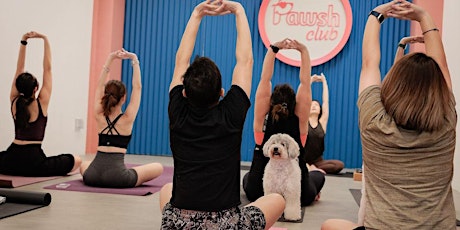 Pawsh Doggie Yoga Class - Free Dog Bows