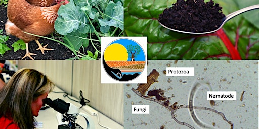 Imagen principal de Soil Microbes-  Who are they and Why are they Important?