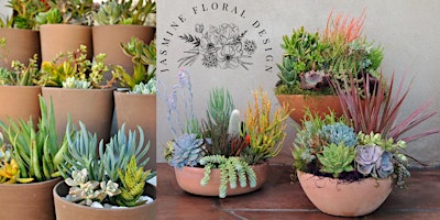 Immagine principale di Sip & Succulents 