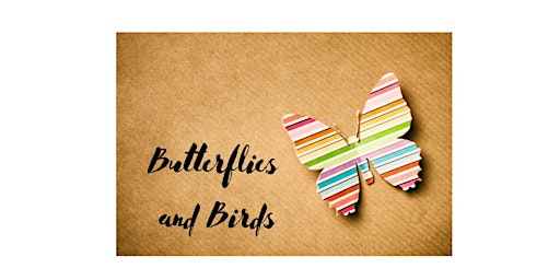 Imagen principal de Butterflies and Birds