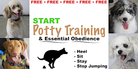 Potty Training & Essential Obedience (FREE Dog Training Class)