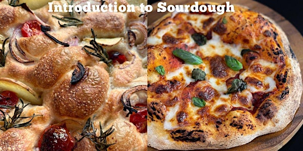 Introduction to Sourdough