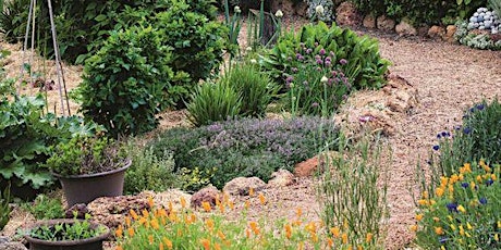 Permaculture Design - Design Introduction & Microclimates