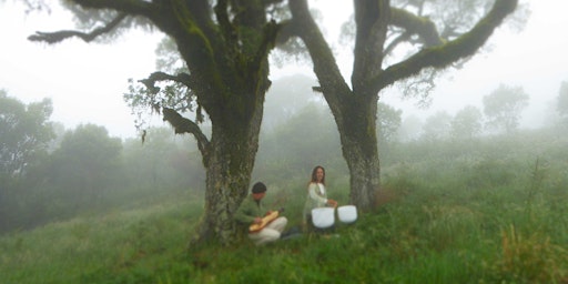 Imagem principal de Sacred Sound Journey with Elvina and Doug