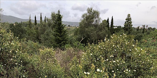 FUNDRAISER: Dry Garden Day at Quinta das Sesmarias  primärbild