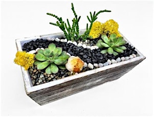 Plant Nite: Make a Succulent Terrarium