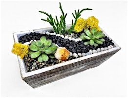 Imagen principal de Plant Nite: Make a Succulent Terrarium