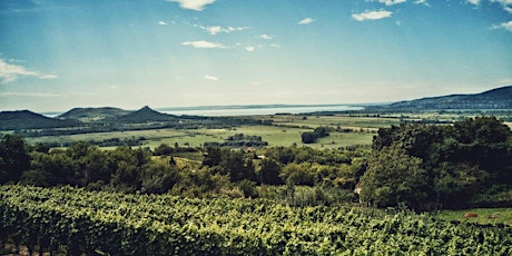 Esplora e degusta: giornata in Franciacorta con visita in cantina