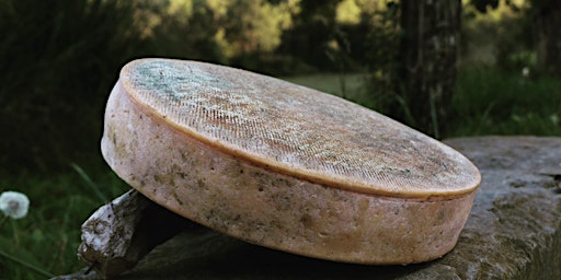 Immagine principale di Assaggi di Mercato - FORMAGGI DI MONTAGNA AMAMAJA E SOUR BEER CA' DEL BRADO 