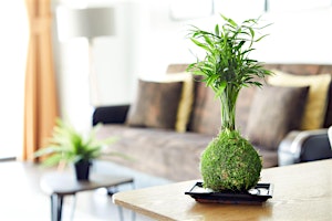 Imagen principal de Ancient  Japanese art of Kokedama and String Gardens Workshop - EnviroBuild