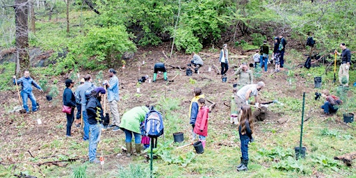 Primaire afbeelding van Friends of Inwood Hill Park's 9th Annual Earth Day Festival