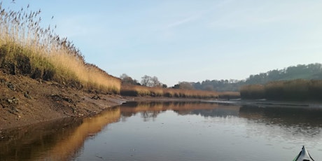 Dart Estuary Saltmarsh Boat Trip - 31 May 10:00