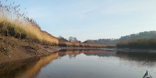 Imagem principal do evento Dart Estuary Saltmarsh Boat Trip - 31 May 10:00