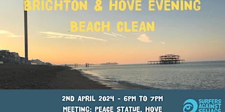 Brighton and Hove evening beach clean