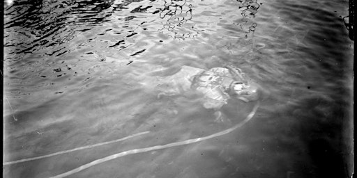 Deep Sea Divers Below the City: The Case of Sydney Harbour