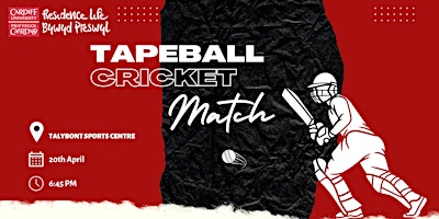 Image principale de Tapeball Cricket Match ¦ Gêm Criced Pêl Tâp