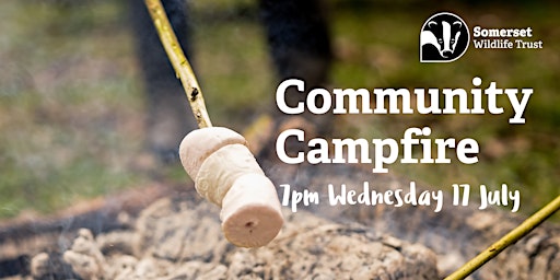 Community Campfire primary image