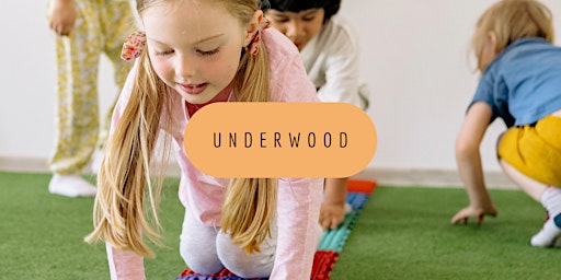 Imagen principal de Underwood Playclub  Ages 5-12 / Clwb Chwarae  Underwood Oed 5-12