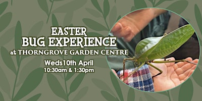 Easter Bug Experience at Thorngrove in Gillingham primary image