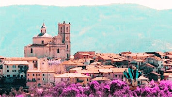 Immagine principale di Nespolo Giullare a Santo Stefano di Magra 