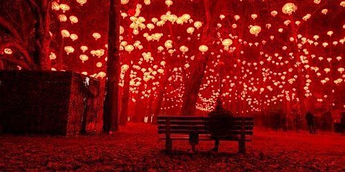 Imagem principal do evento La  Festa delle lanterne dei desideri Magie e Miti nel Bosco delle Fate al Lago d'Averno