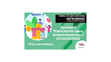 Hauptbild für Networking. AVALMADRID – Ayudas y financiación para emprendedores