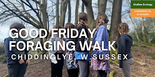 Good Friday Foraging Walk primary image