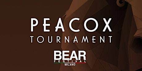 Milano Bear Festival - Basketball Tournament 2024