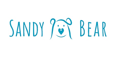 Introduction to Sandy Bear