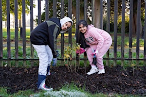 Seed sowing and bulb planting, Crowcroft Park, Manchester primary image