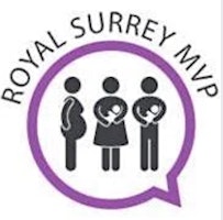 Royal Surrey Maternity Voices Partnership (MVP) FREE 'stay and play'  primärbild