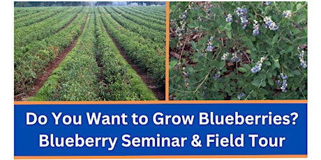 Do You Want to Grow Blueberries? Blueberry Seminar & Field Tour